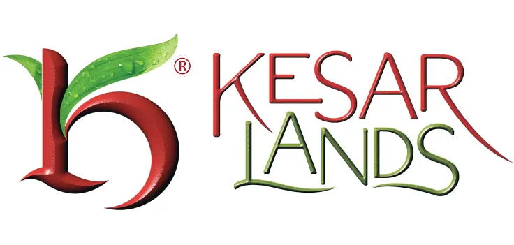 Kesar Group